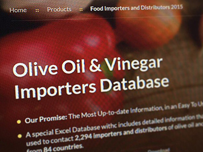 Web Design Proposal database design proposal web