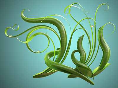 Grow - W Render 3d 3dillustration 3ds max 3dtype cgi illustration lettering type typography vray