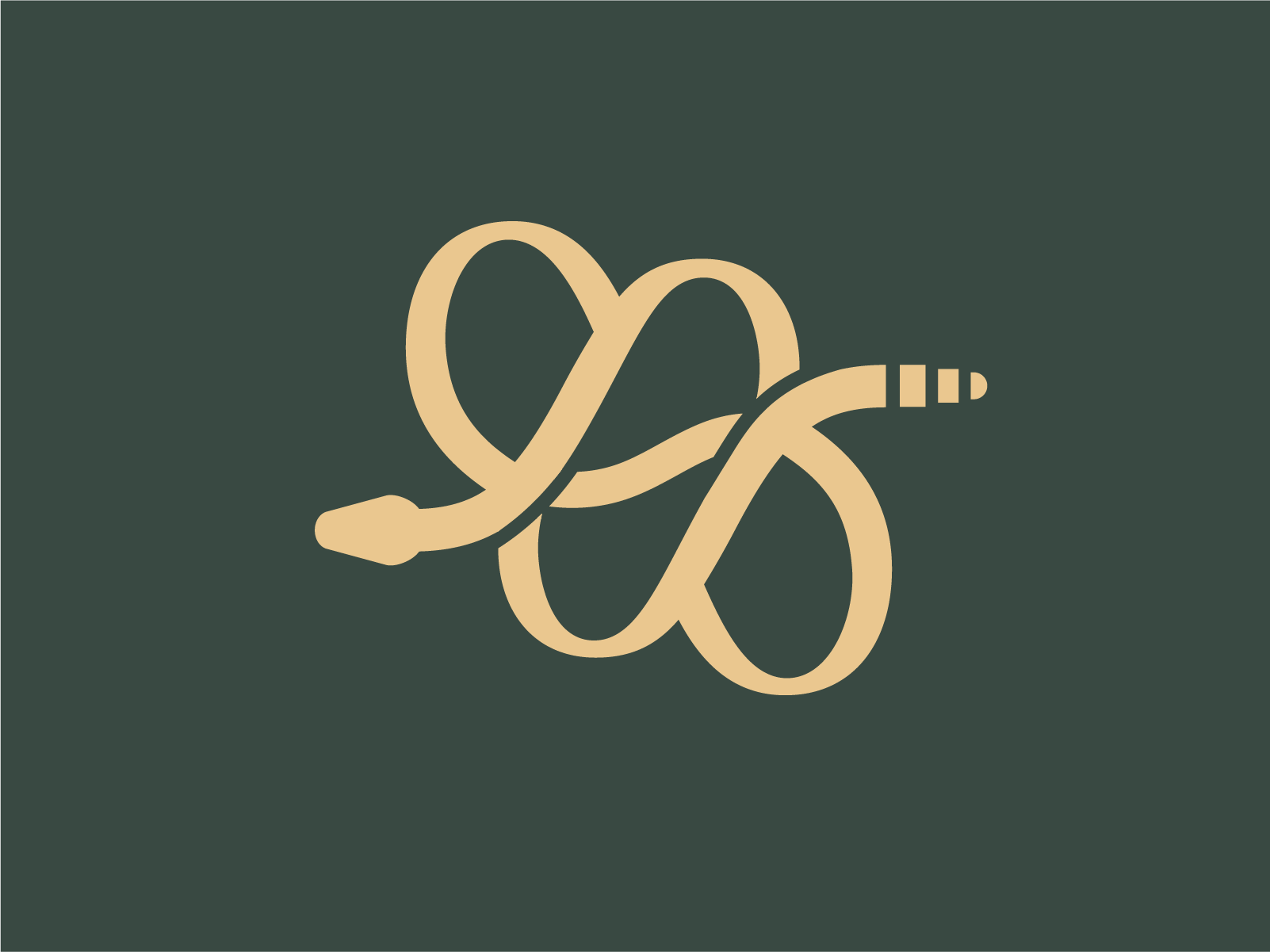 Brand Identity - Creative Retreat Center bloom branding flower graphic design logo snake visual identity wellness