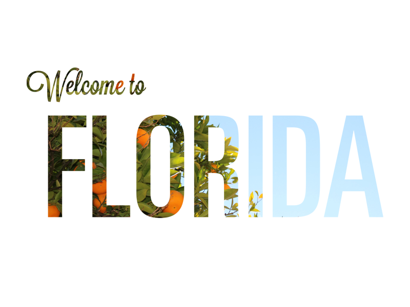 Florida florida minimal photography typography