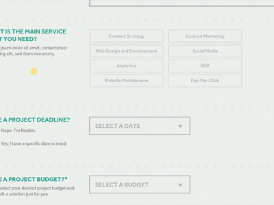 Monkee-Boy Interactive Form form interactive prototype responsive selection services transition web design