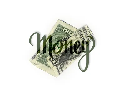 Money Script cursive hand lettering lettering letters script type typography
