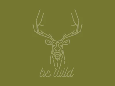Elk adventure animals elk outdoors wild