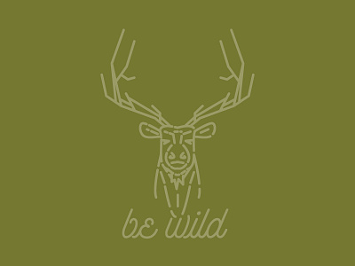 Elk adventure animals elk outdoors wild