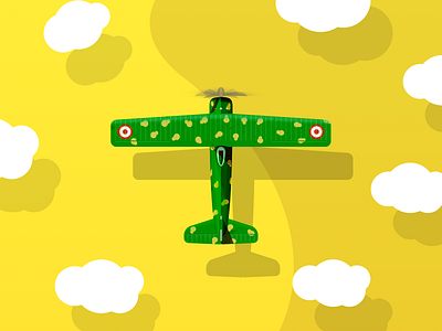 The English Patient aircraft flat illustration plane texture