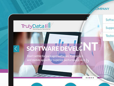 Trulydata Presentation design uiux