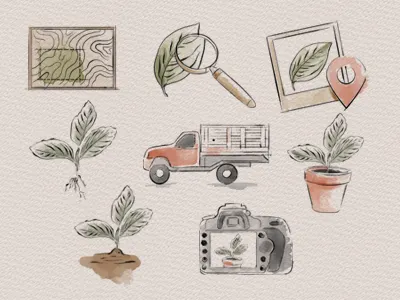 Watercolor icons design icons illustration infographics nature watercolor