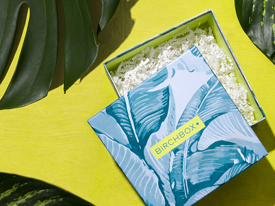 Birchbox Limited Edition: Under the Sun birchbox box leaves packaging palm leaves summer sun under the sun