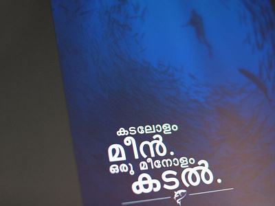 A new poster desined for a client fish fisharies sea