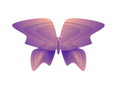Butterfly butterfly illustration