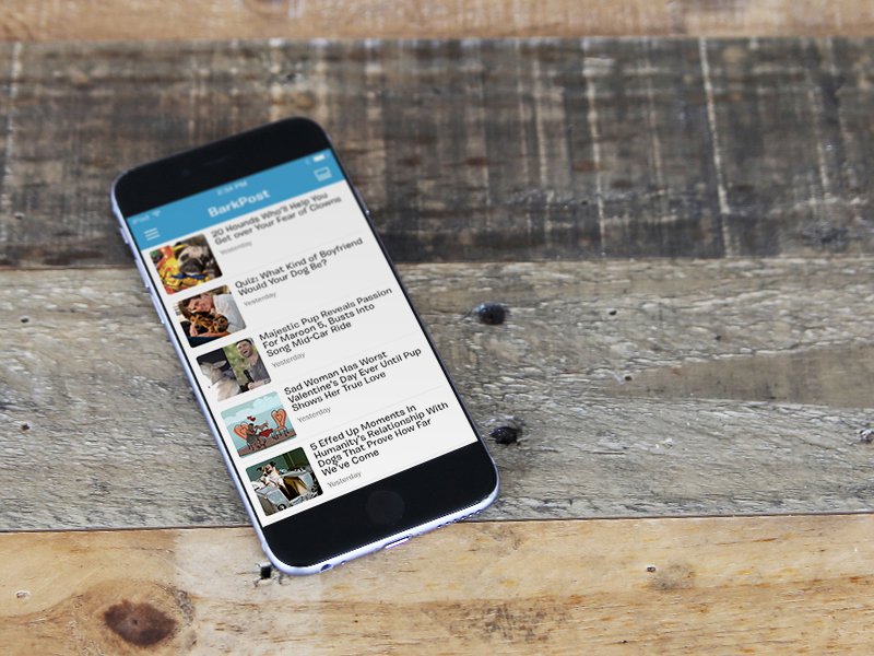 BarkPost app app dog pet reading ui ux