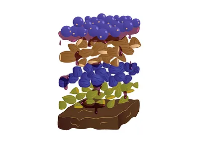 Fruits & Nuts Bar chocolate fruits snack bar