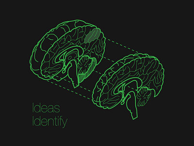 Ideas Identify artwork brain complex cross section ideas illustration isometric splitting