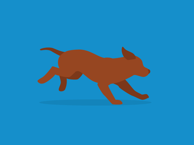 Dog Day Afternoon animation cycle dog gif loop run