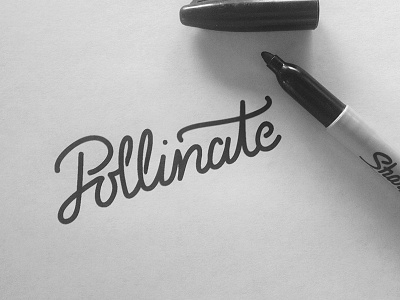 Pollinate Logo Exploration branding custom handlettering lettering logo pollinate script sharpie type wip