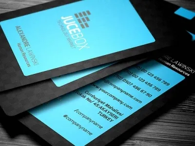 Blue Modern Business Card bule modern business card company corporate name card personalize pforessional rounded