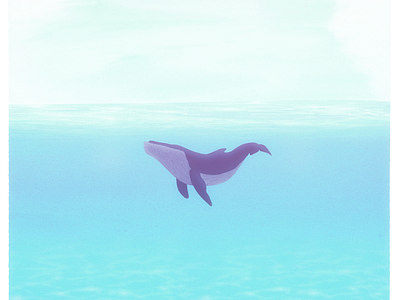 Whale illustration ocean orca sea shark water waves whale