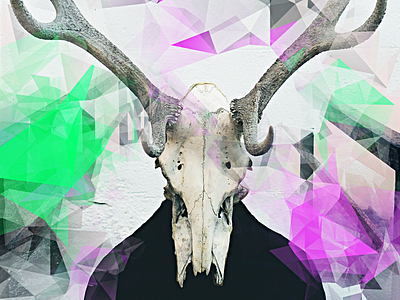 Sample effect from low-poly / polygonal Photoshop brushes abstract brushes colorful geometric geometrical low poly photoshop polygon polygonal sneak peek triangular