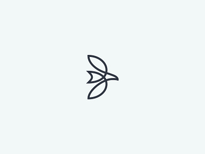 Infinite Bird abstract bird branding dove hospice logo wip
