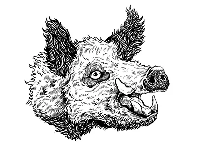 Boarrring animal black boar drawing illustration ink inking pen pig