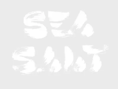 SEA SALT brush brush lettering design lettering skript type typeface typography
