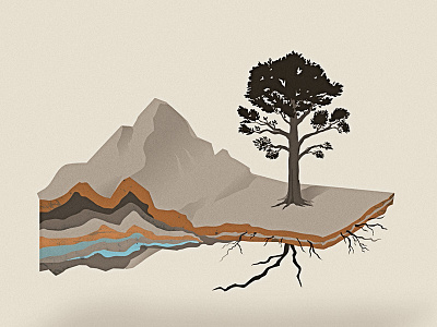 Growth crust diagram geology mountain realism roots tree