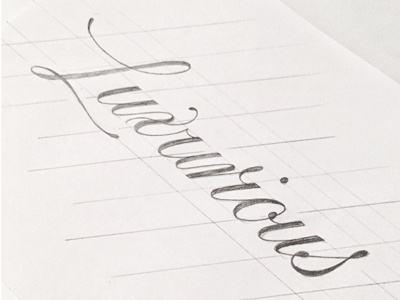 Luxurious Lettering calligraphy copperplate drawing hand lettering lettering script sketch