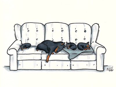 Gina's Dogs copic markers couch illustration