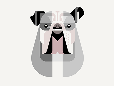 British Bulldog Portrait WIP art brill british bulldog dog illustration josh portrait wip