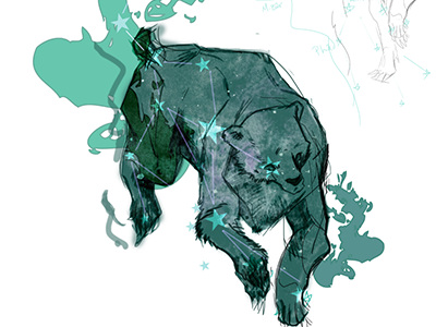 Ursa Major astronomy bear constellation major spirit stars ursa