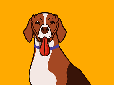 Dog animal colors dog illustration pet