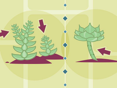 [WIP] Happy vs Sad care etiolation garden gardening grow help infographic plant succulent