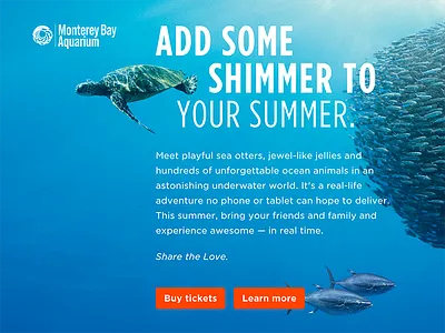 Add some Shimmer to your summer aquarium blue campaign shimmer summer