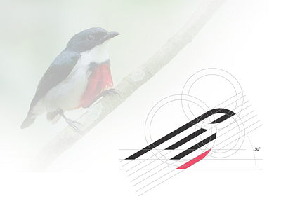 Rise Logo V2 icon internet logo symbol