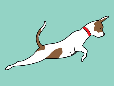 Flying Jacks animal brand design dog identity jackrusell logo mark style