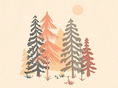 A Spot in the Wood... flowers folk forest nature organic plants sun trees wilderness