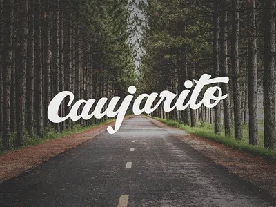 Cauja 3 caracas illustrator lettering type typography vector venezuela