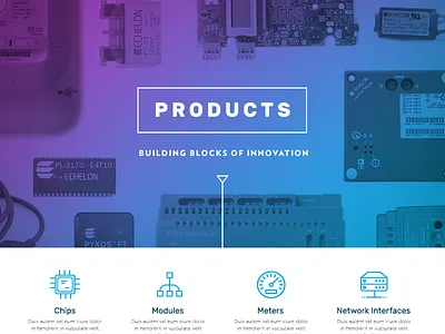 Echelon Corporation Product Page Concept chips gradient iiot industrial internet of things meters microprocessors modules networking products website