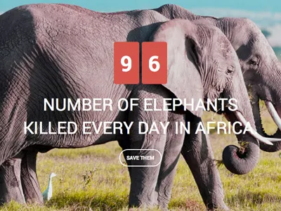Save the Elephants environment green wordpress themes