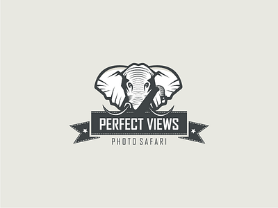 Perfect Views africa elephant illustration logo photo safari