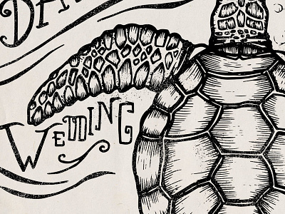Turtle draw handrawn illustration oldschool turtle vintage