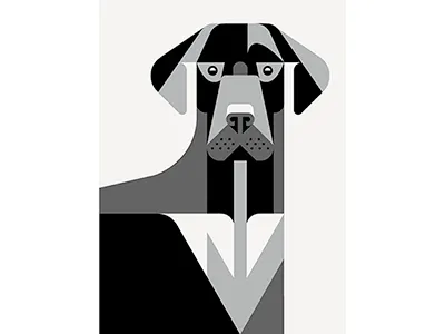 Laborador Retriever Portrait WIP art artwork dog illustration laborador portrait retriever wip