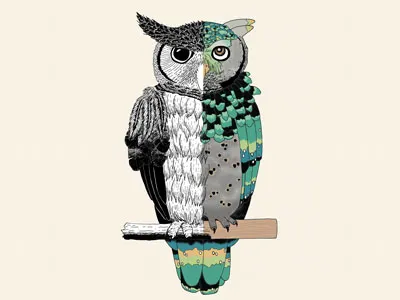 LeSKroon Owl handdrawn illustration owl twins