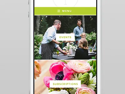 Mobile Home Page iphone mobile responsive website