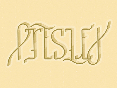 Presley // Ambigram 3d ambigram elvis lettering type typography vector