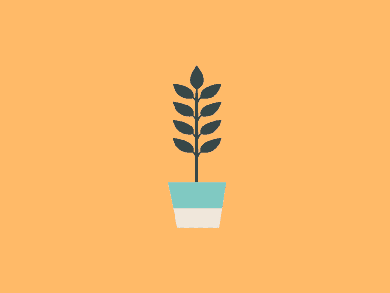 Beautiful furniture cactus chair colour cup flat furniture gif house illustration living room vector