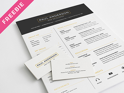 Freebie - Resume Template curriculum vitae cv free freebie psd resume th studio