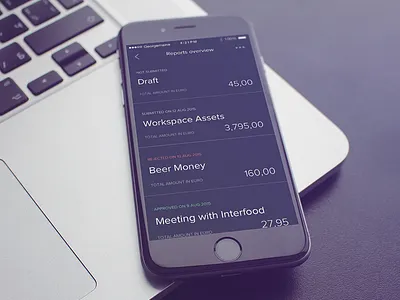 SRXP Expenses app - Reports overview data expenses finance interface ios minimal ui ux