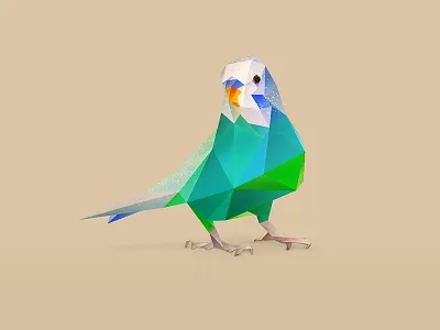 Parakeet. animal animals bird birds low poly low polygon low polygon art parakeet pets photoshop photoshop cc vector art