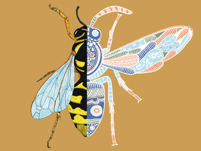 LeSKroon Wasp handdrawn illustration twins wasp